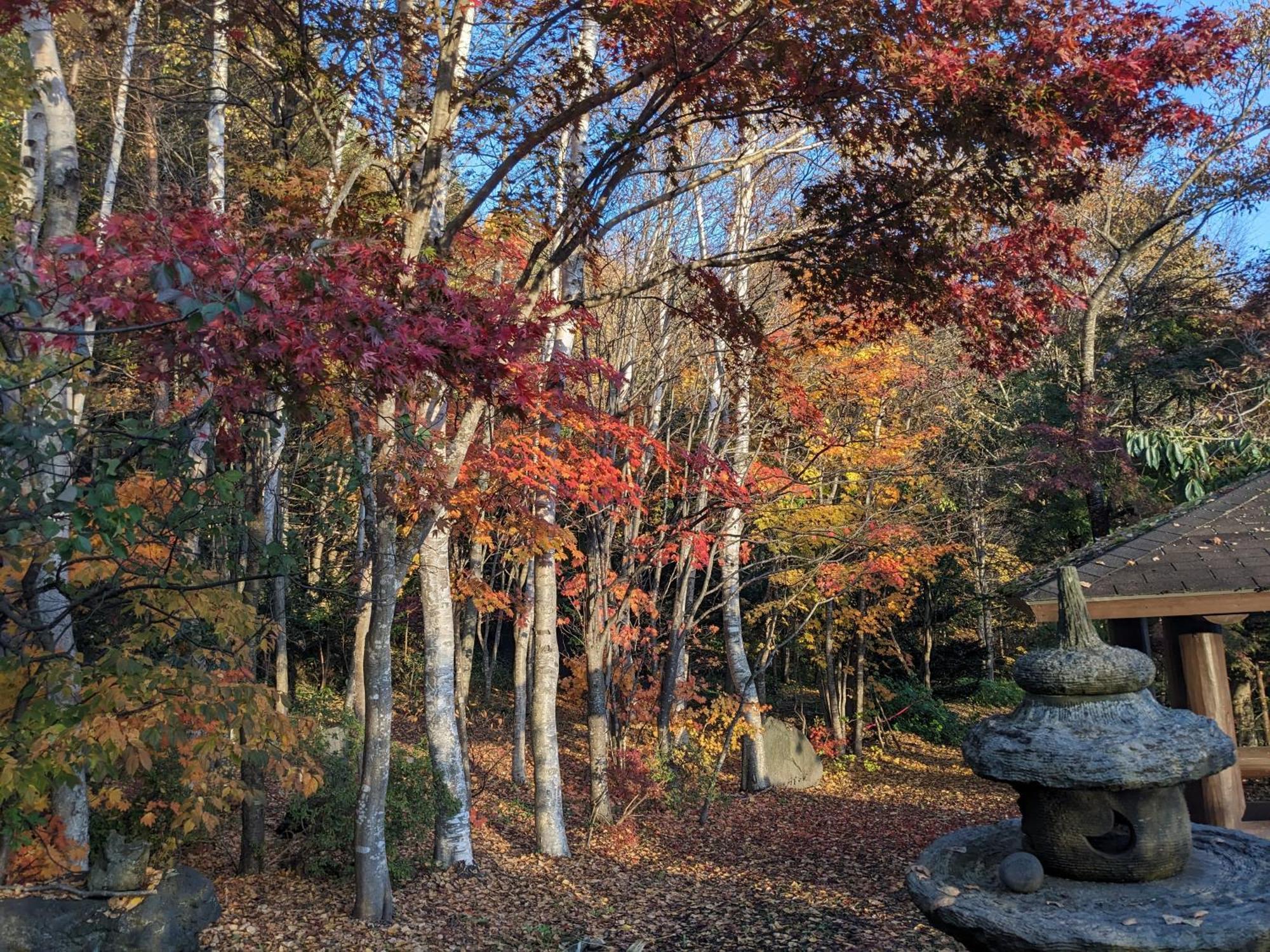 Вилла The Lakeview Toya Shirokumanoyado Тояко Экстерьер фото